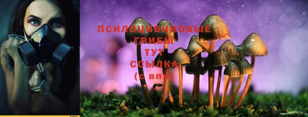 ПСИЛОЦИБИНОВЫЕ ГРИБЫ Липки