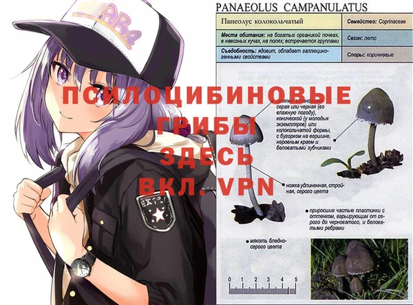 каннабис Лабытнанги