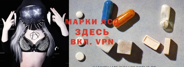 хмурый Лагань